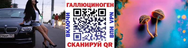 Псилоцибиновые грибы GOLDEN TEACHER МЕГА ссылка Холм наркотики