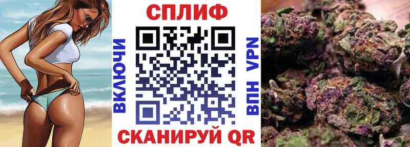 МАРИХУАНА сатива  закладки  Холм 